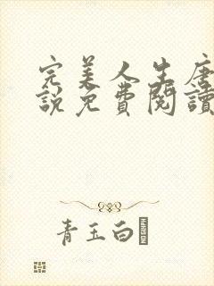 完美人生唐诚小说免费阅读