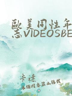 欧美同性年轻同志VIDEOSBEST