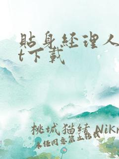 贴身经理人txt下载