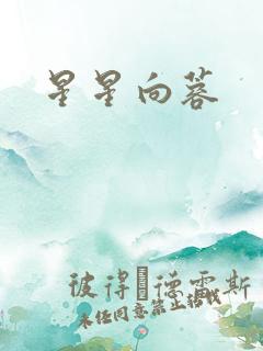星星向蓉