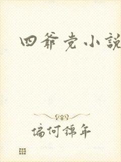 四爷党小说