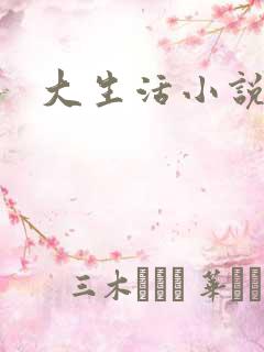 大生活小说