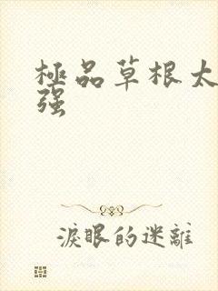 极品草根太子张强