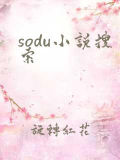 sodu小说搜索