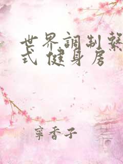 世界调制系统模式 健身房