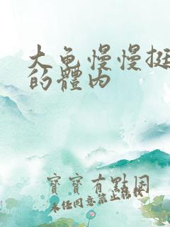 大龟慢慢挺进我的体内