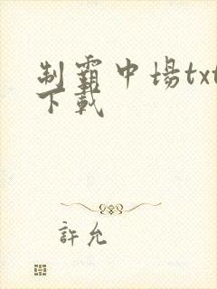 制霸中场txt下载
