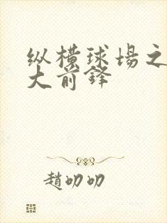 纵横球场之暴力大前锋