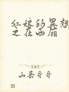 红娘的异想世界之在西厢