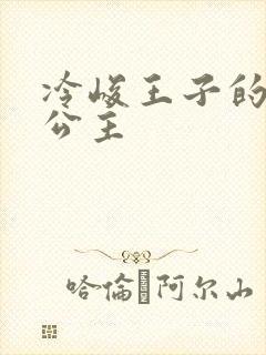 冷峻王子的完美公主