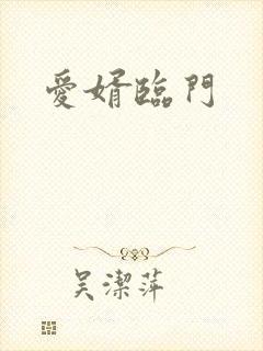 爱婿临门