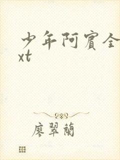 少年阿宾全集txt