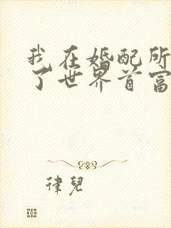 我在婚配所摇到了世界首富小说