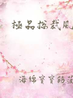 极品总裁风流录