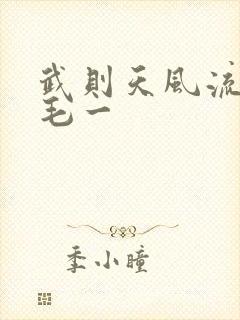 武则天风流艳情毛一