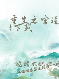 重生之官道txt下载