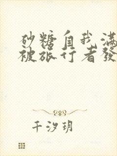 砂糖自我满足时被旅行者发现小说