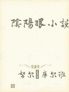 阴阳眼小说
