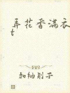 弄花香满衣txt