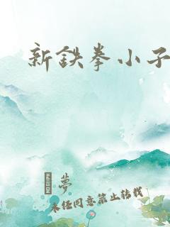 新铁拳小子