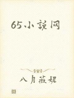 65小说网