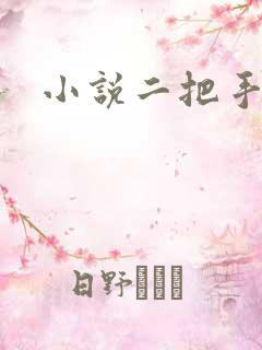 小说二把手