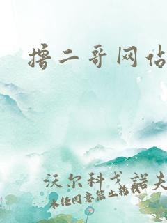 撸二哥网站
