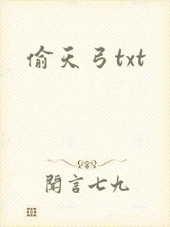 偷天弓txt