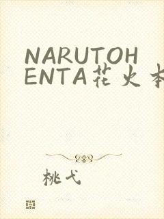 NARUTOHENTA花火本子