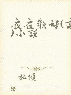 夜夜欢好(高h)小说