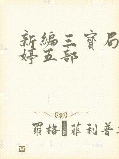 新编三宝局长许婷五部