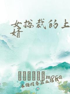 女总裁的上门女婿