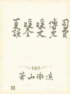 夏暖暖傅司寒小说全文免费阅读