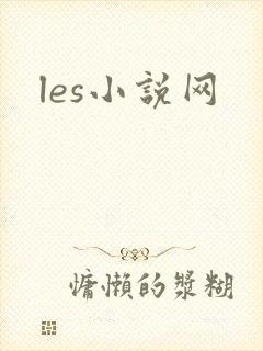 les小说网