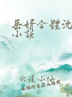 岳婿合体沈绝的小说