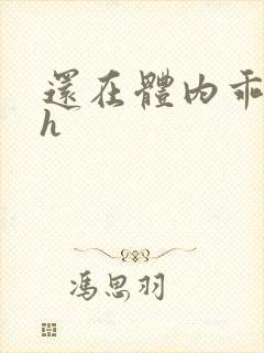 还在体内乖吃饭h