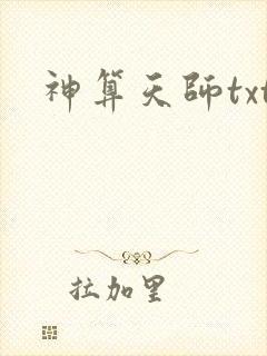 神算天师txt