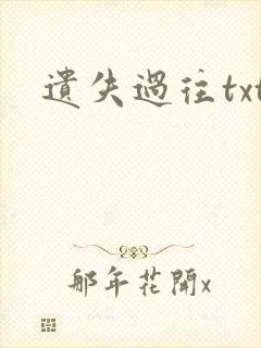 遗失过往txt
