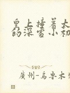 皇上撞着太子妃的深处小初