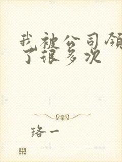 我被公司领导C了很多次