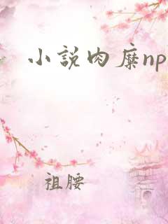 小说肉糜np
