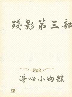 残影第三部