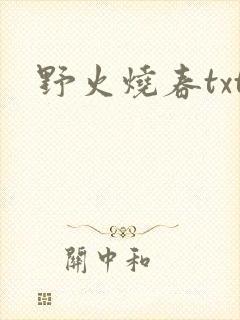野火烧春txt