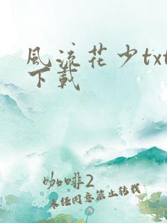 风流花少txt下载