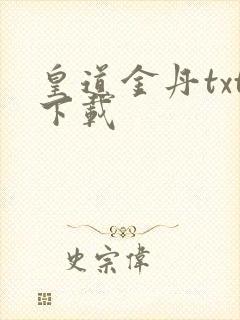 皇道金丹txt下载