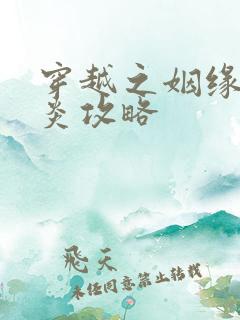 穿越之姻缘劫萧炎攻略