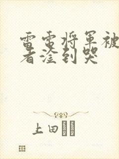 雷电将军被旅行者淦到哭