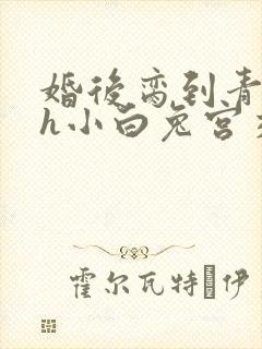 婚后脔到青梅哭h小白兔宫交h