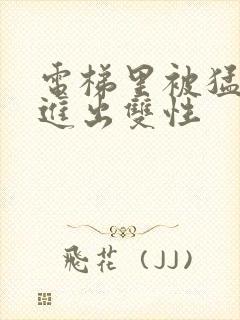 电梯里被猛烈的进出双性