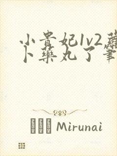 小贵妃1v2萝卜药丸了笔趣阁